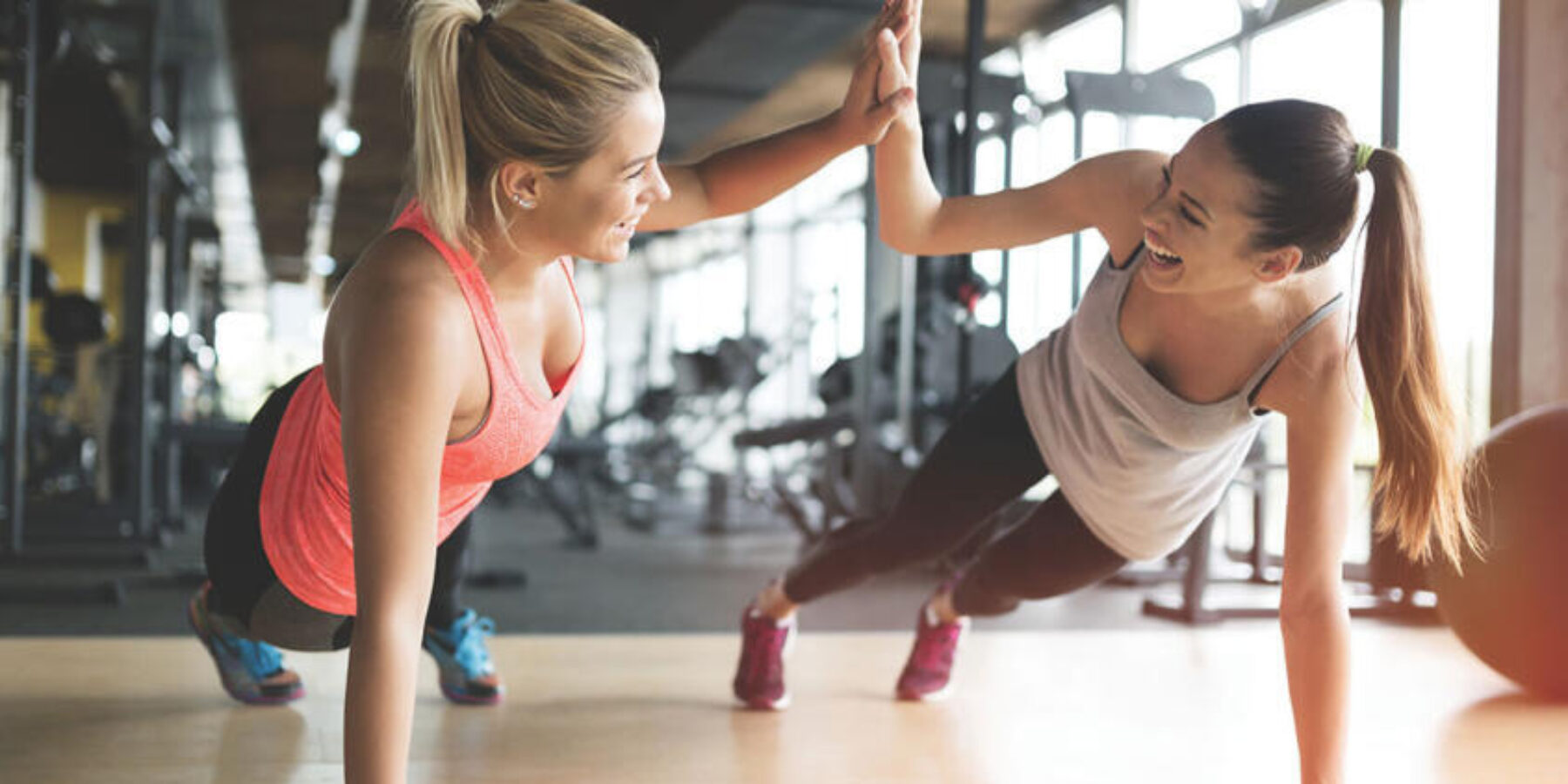 Fresh and Fit Hero Image