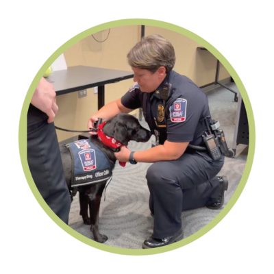 Callie Therapy Dog Story